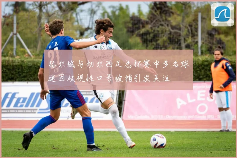 赫尔城与切尔西足总杯赛中多名球迷因歧视性口号被捕引发关注