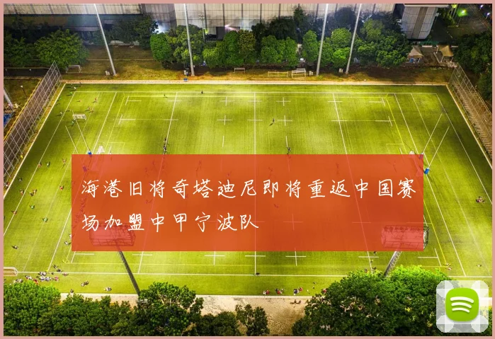 海港旧将奇塔迪尼即将重返中国赛场加盟中甲宁波队