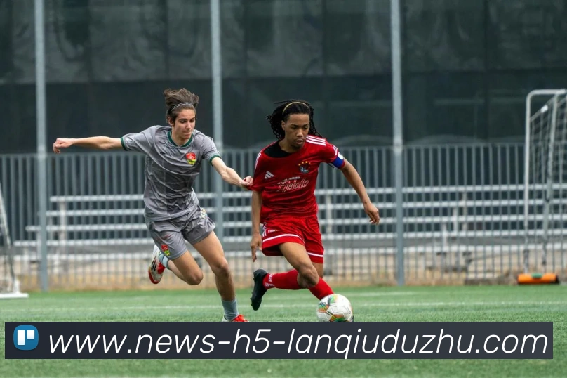 App Interface Preview