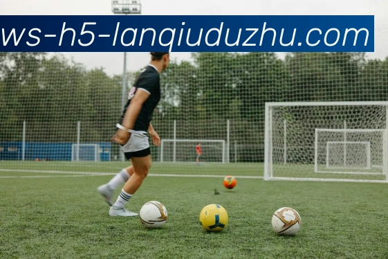 篮球赌注APP 封面图