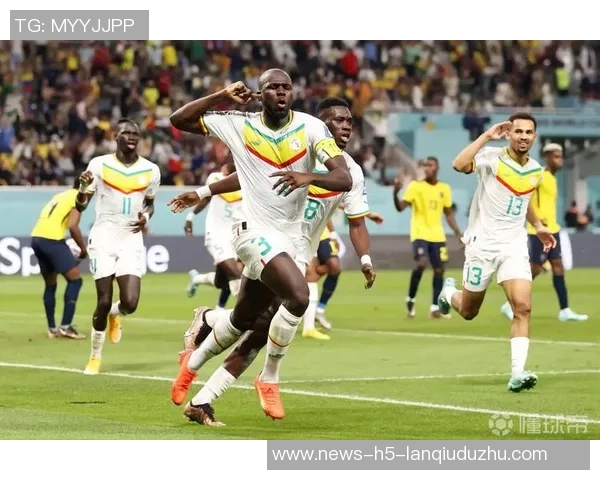 哈兰德社媒自拍引热议法国塞内加尔成世界杯难题你怎么看 哈兰德社媒自拍引热议法国塞内加尔成世界杯难题你怎么看